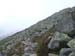 DSCF0507