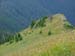 DSCF0596