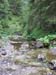 DSCF0668