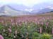Mala_Fatra59
