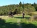 Pieniny28