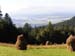 Pieniny37
