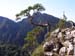 Pieniny49
