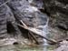 Slov_Raj 003