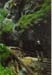 Slov_Raj 041